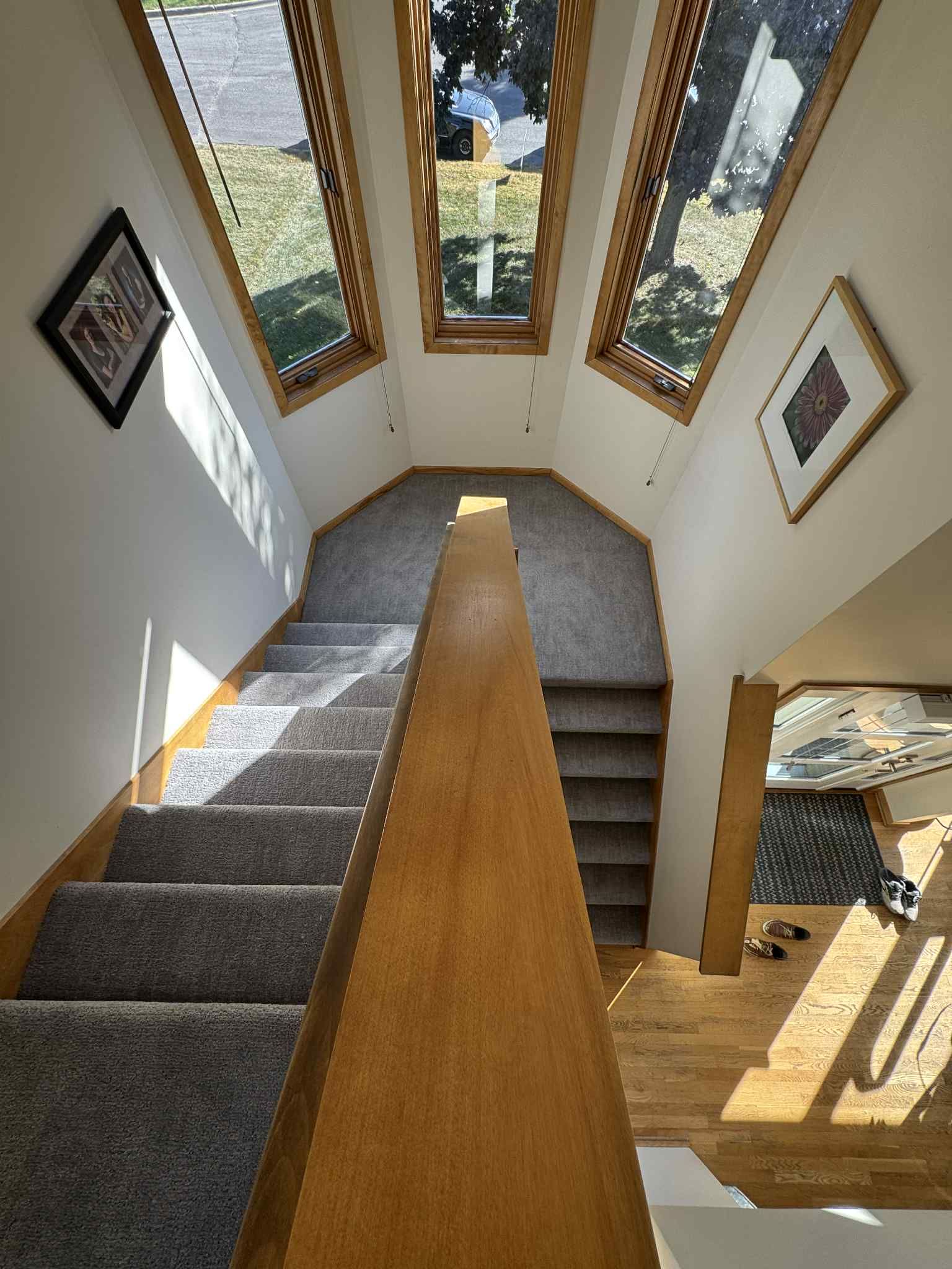 Carpeted staircase with dark gray treads and wooden handrail under skylights.