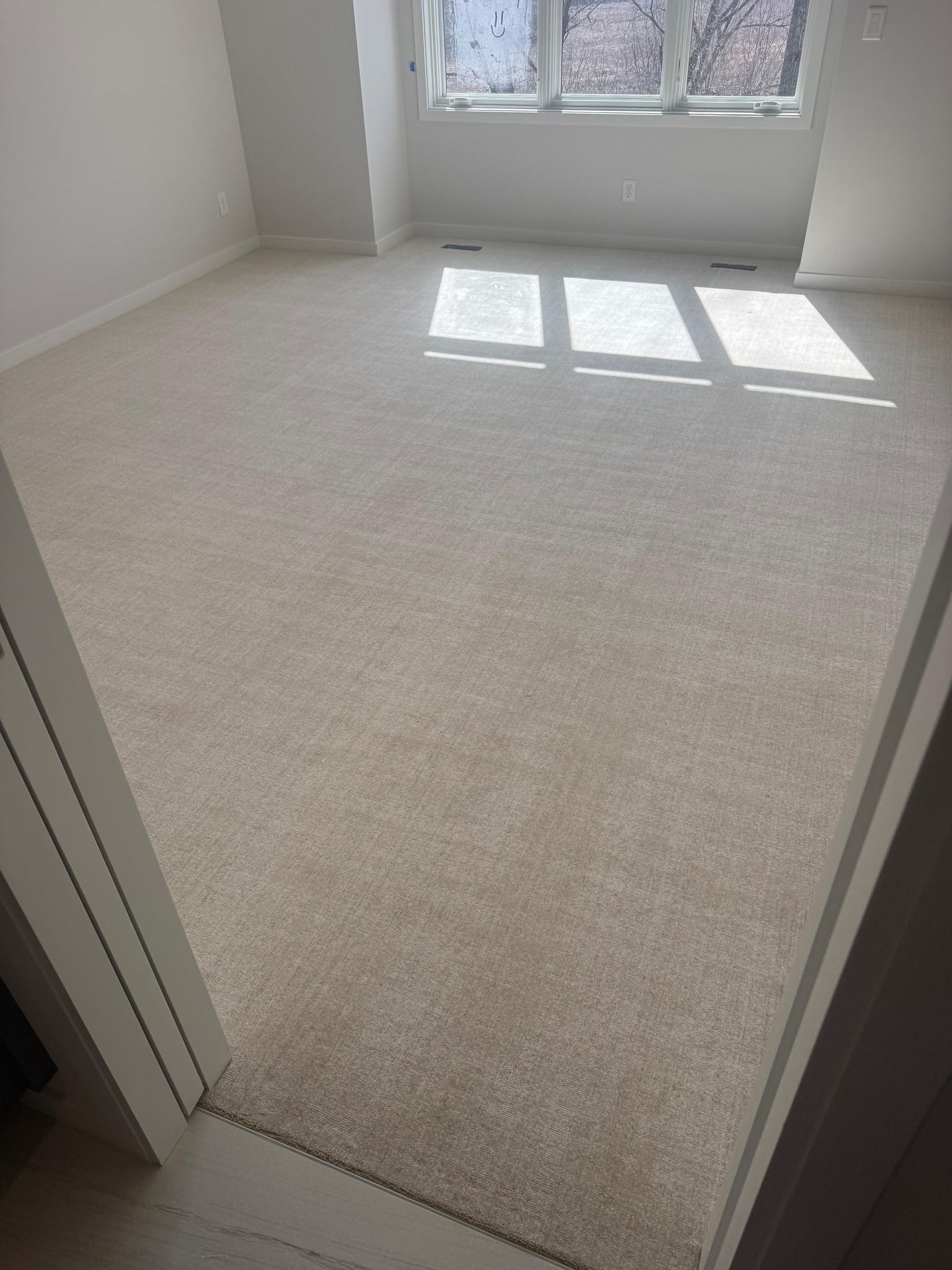 Light beige carpet installed in a bedroom with large windows.