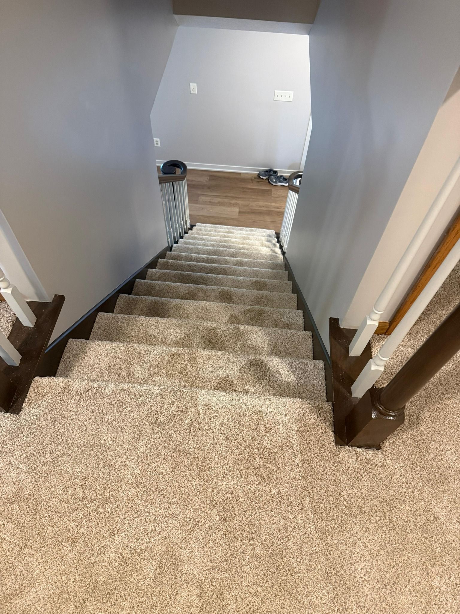 Staircase with beige carpet and dark wood nosing leading down to carpeted hallway.