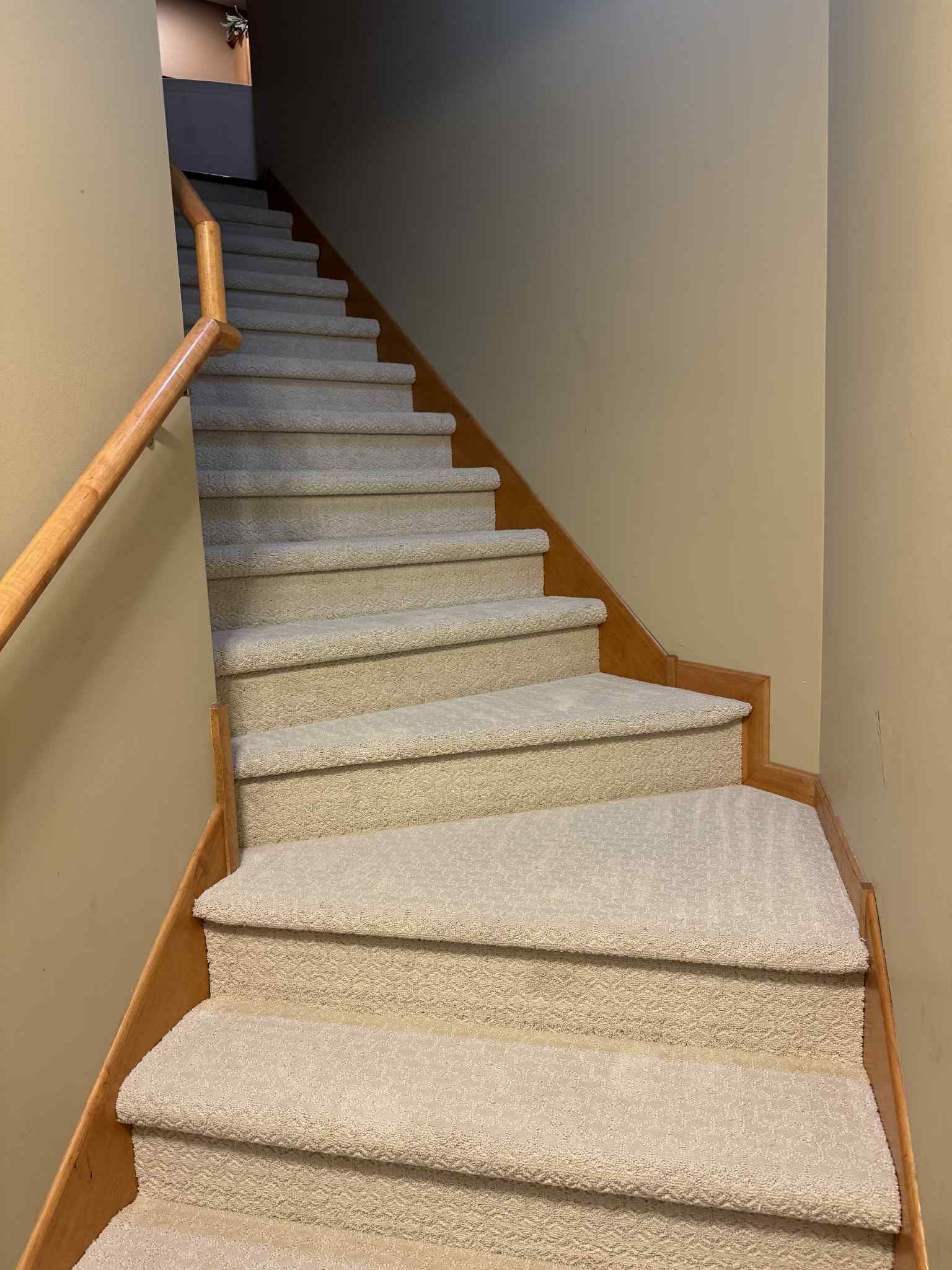 Carpeted staircase with wooden handrail and treads in a residential stairwell.
