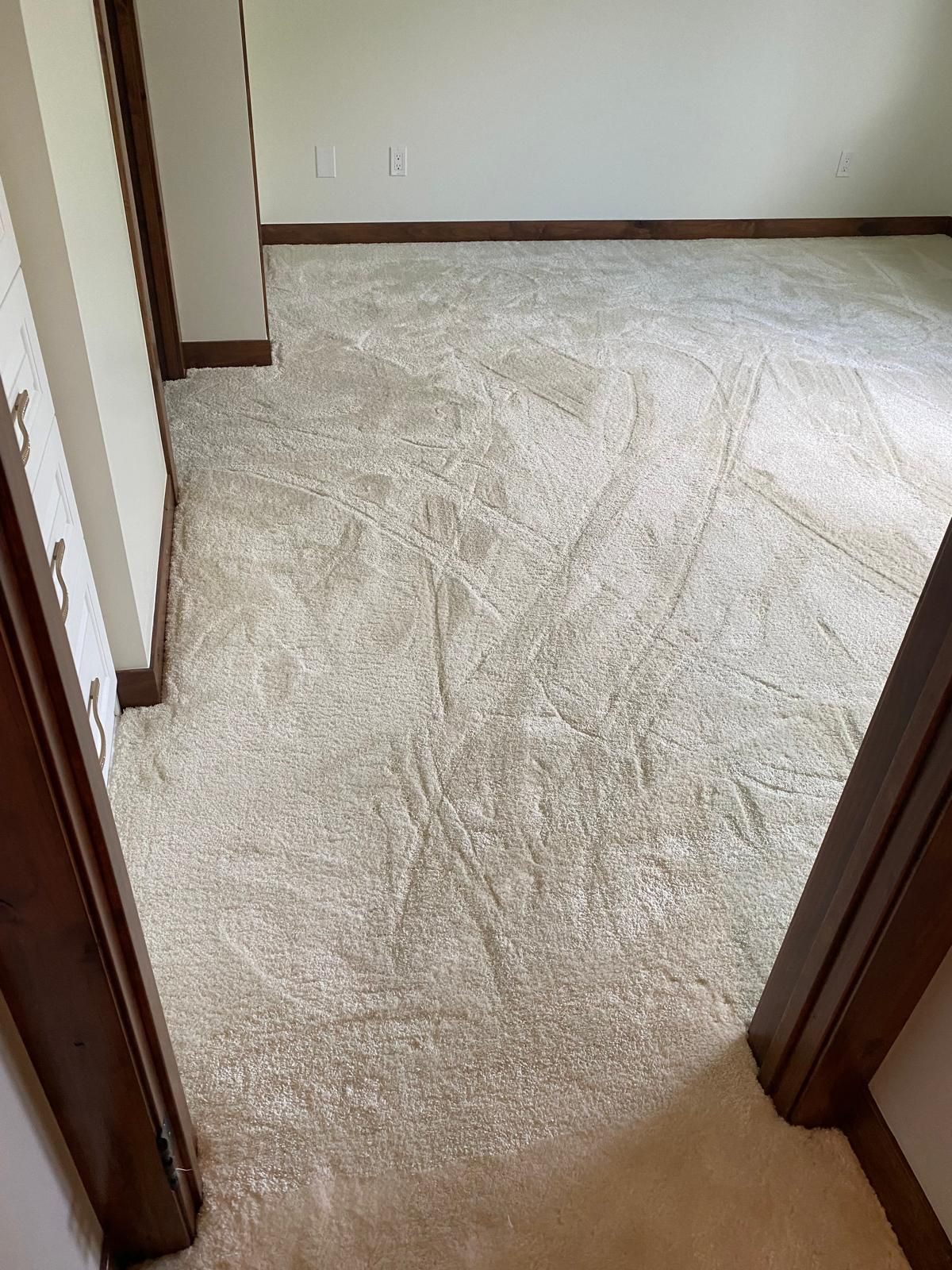 Light beige carpet installation in a bedroom with dark wood door frames and white walls.