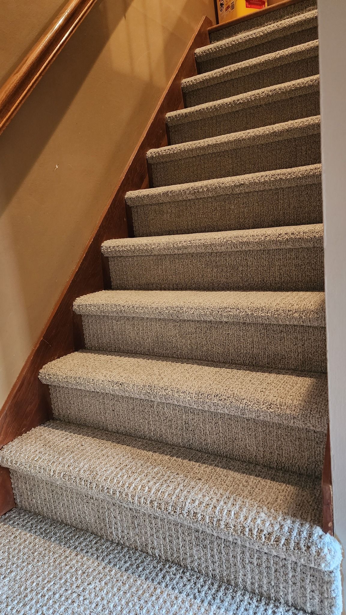 Staircase with gray and tan textured carpet and wood handrail.