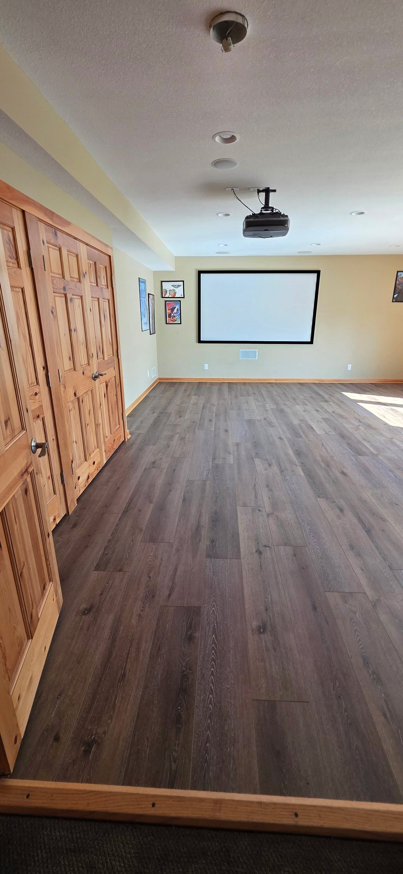 Basement room with dark brown wood-look LVP flooring in plank pattern.