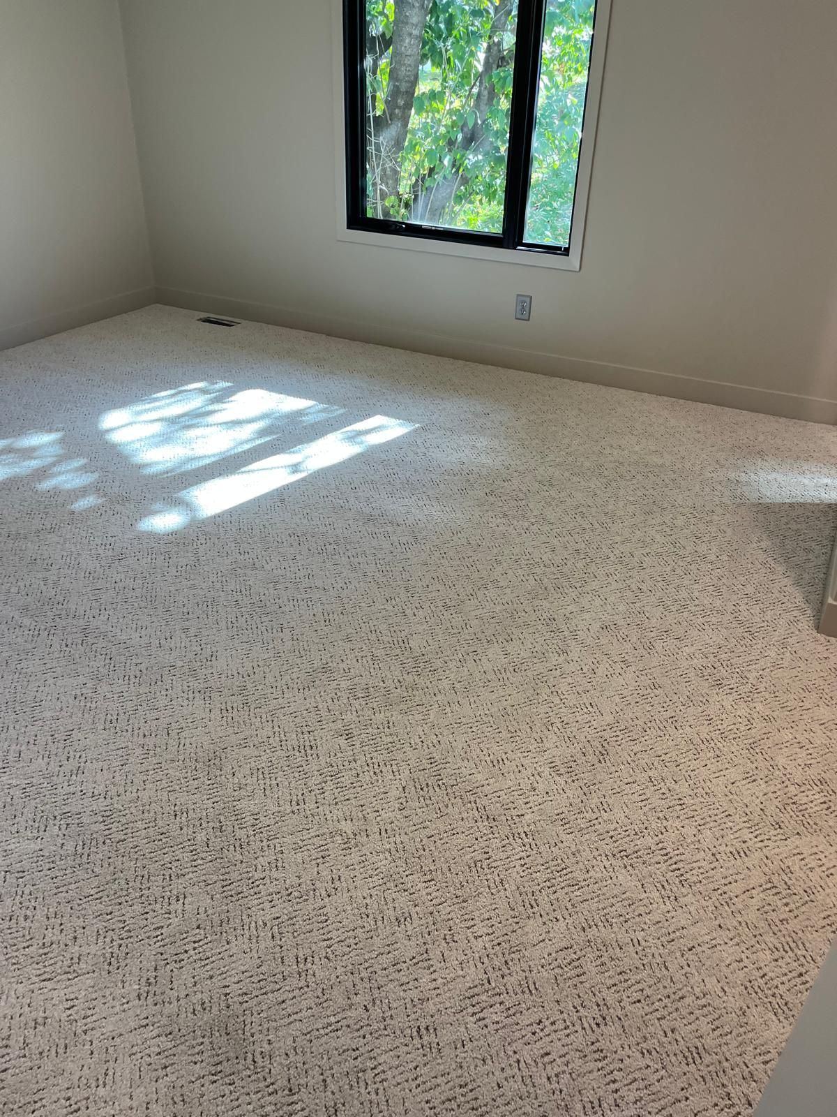 Newly installed beige textured carpet in a bedroom with windows showing outdoor foliage.