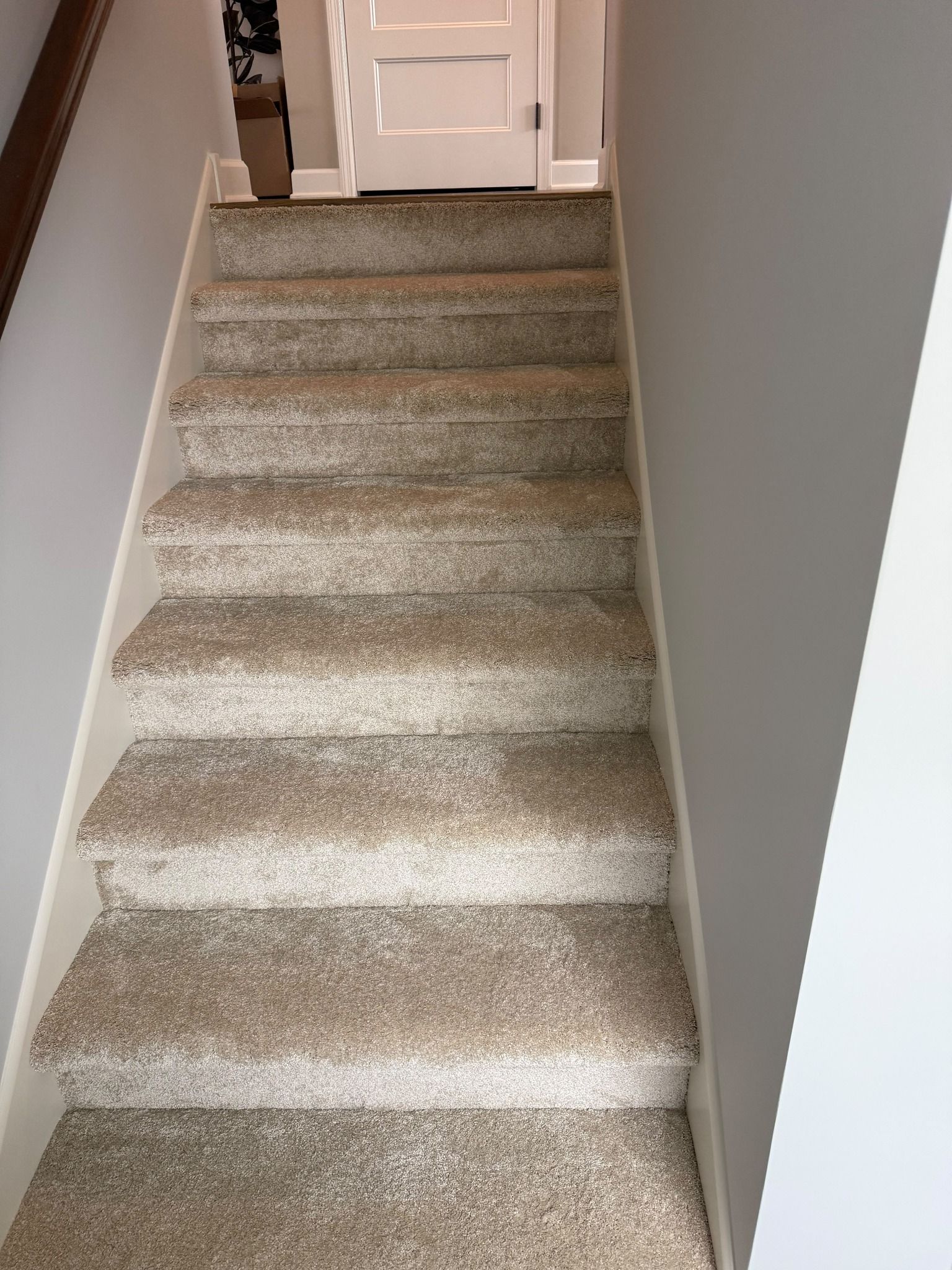 Beige carpet installed on residential stairs with white trim and painted walls.