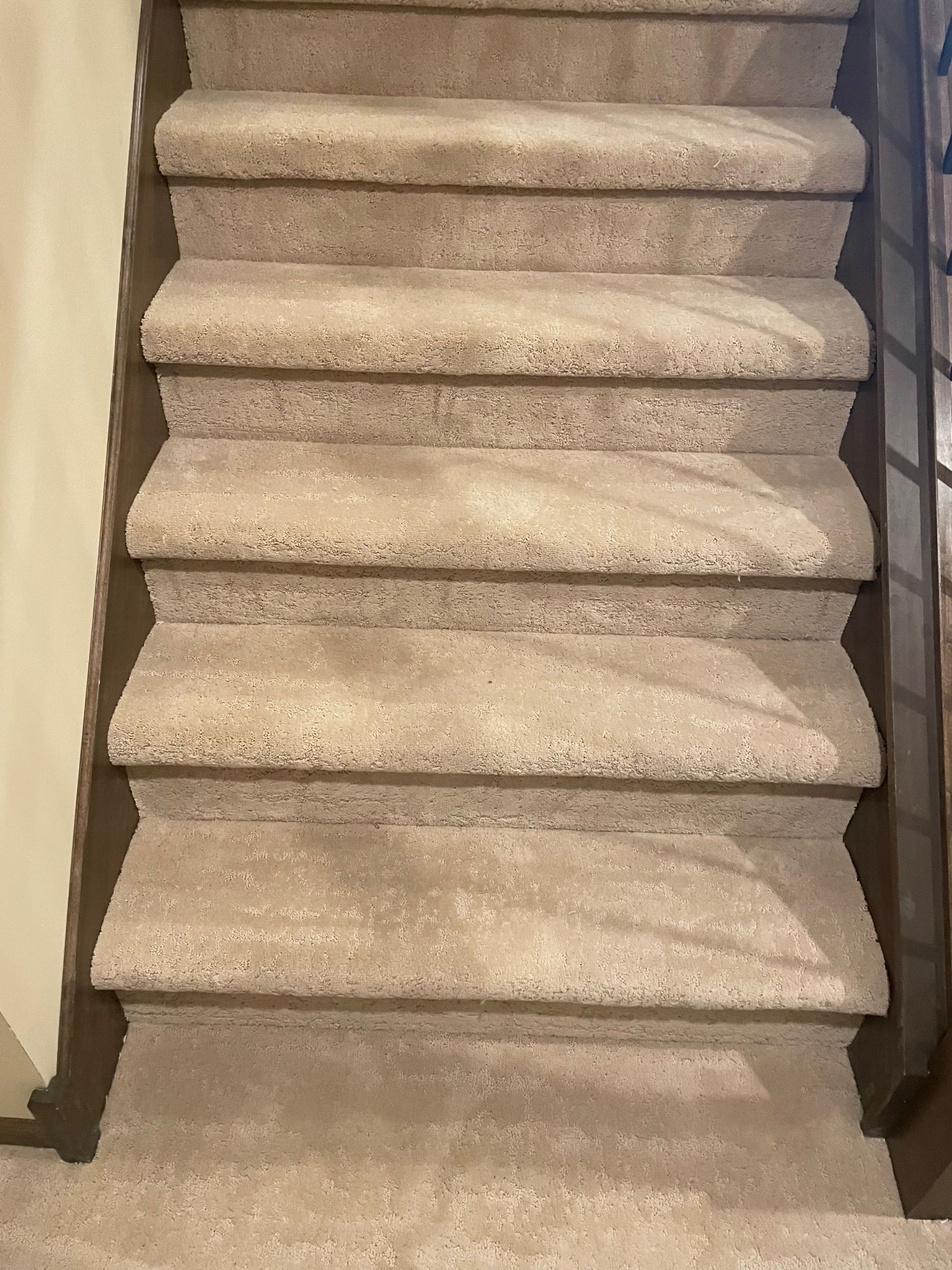 Carpeted staircase with light tan carpet and dark wooden railings on both sides.